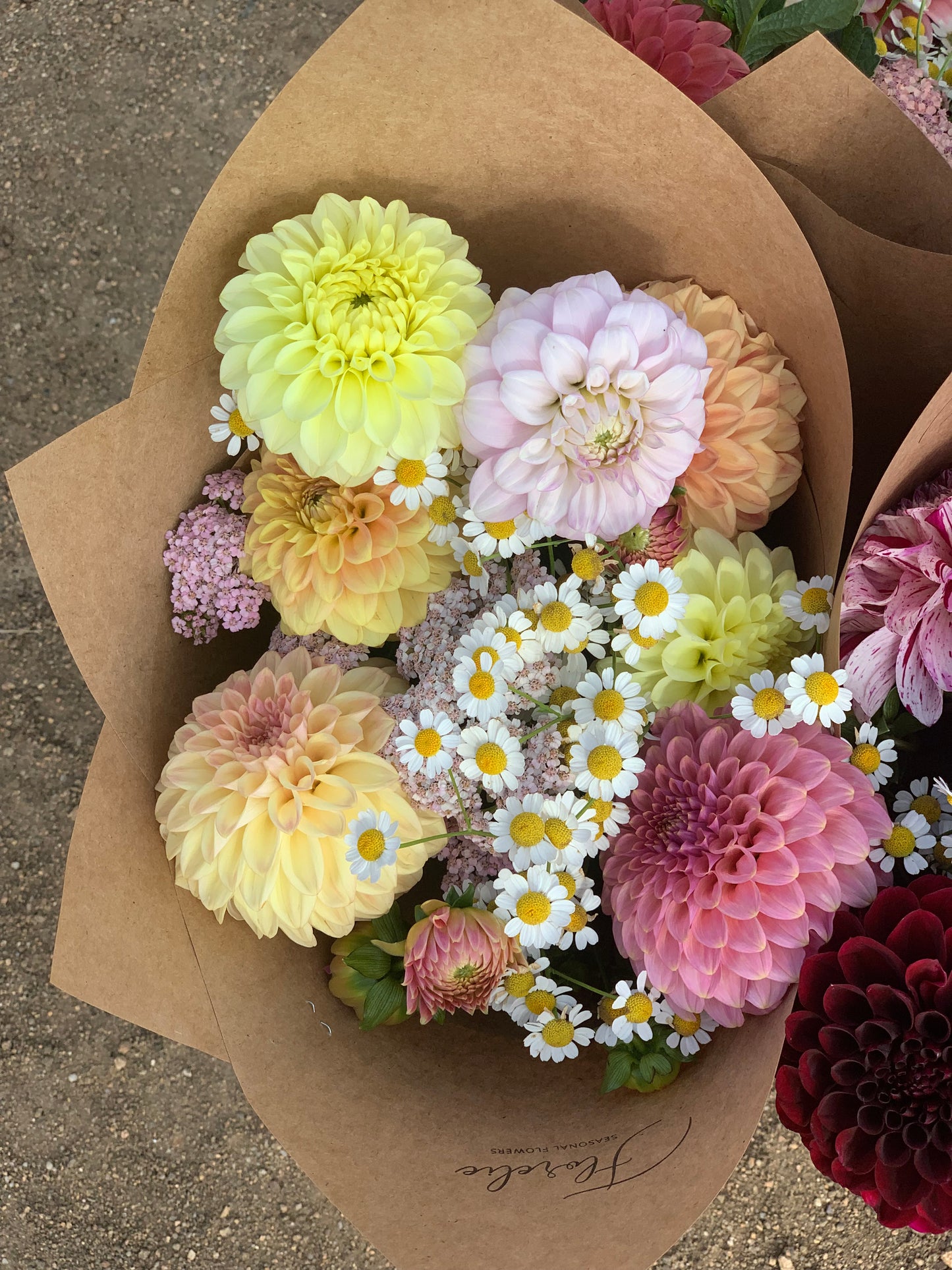 Mixed Seasonal Bouquet