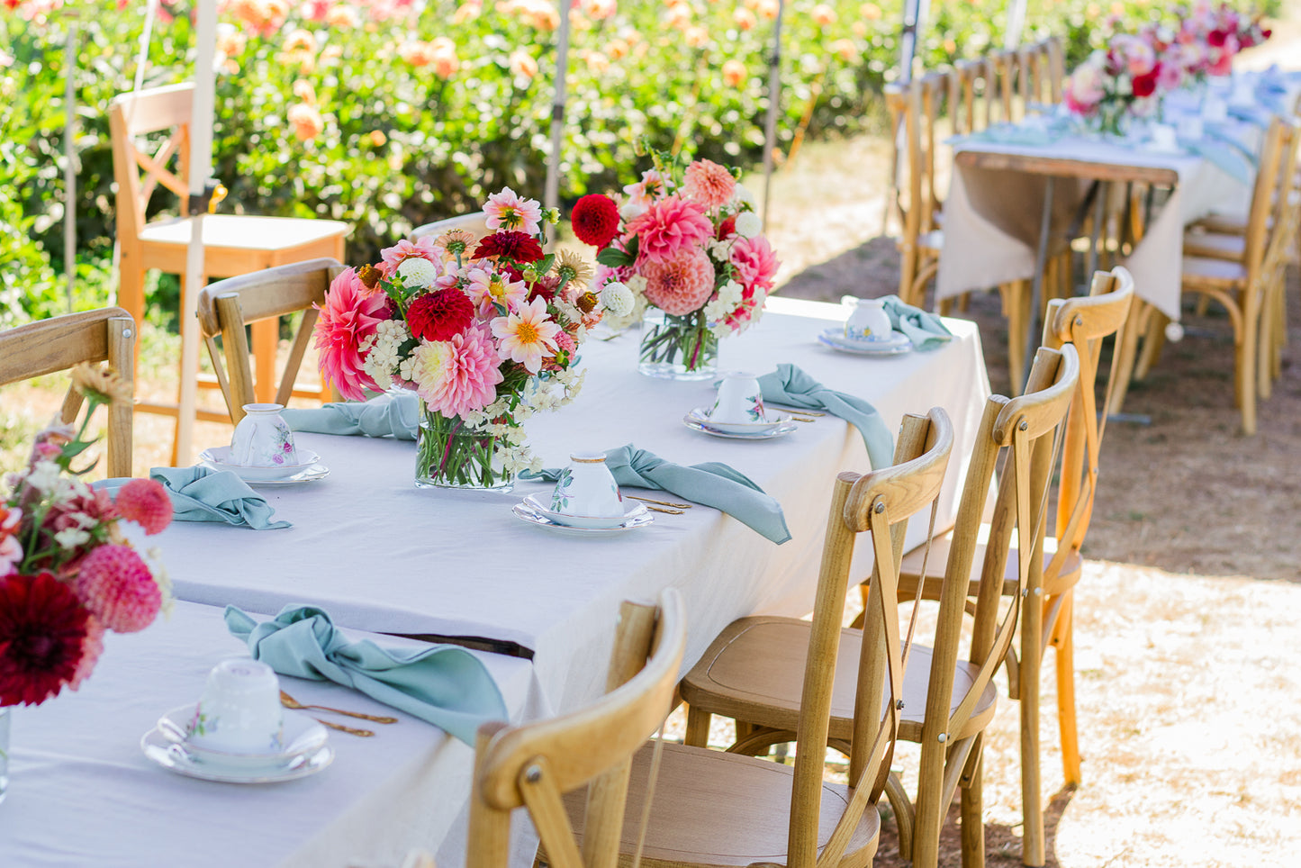 Afternoon tea in the dahlia field Saturday February 28th
