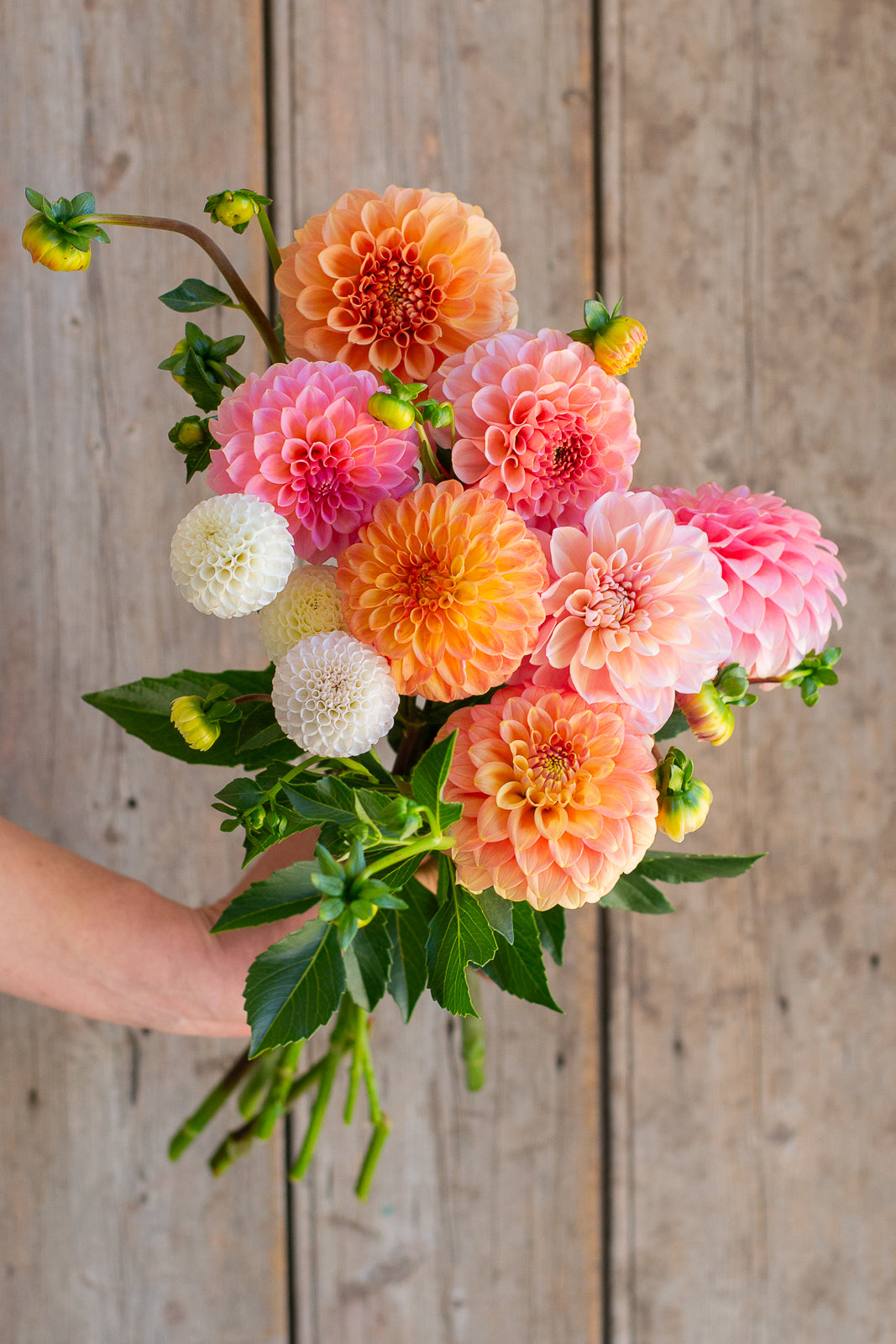 Blooms for Babes Pack FUNDRAISER