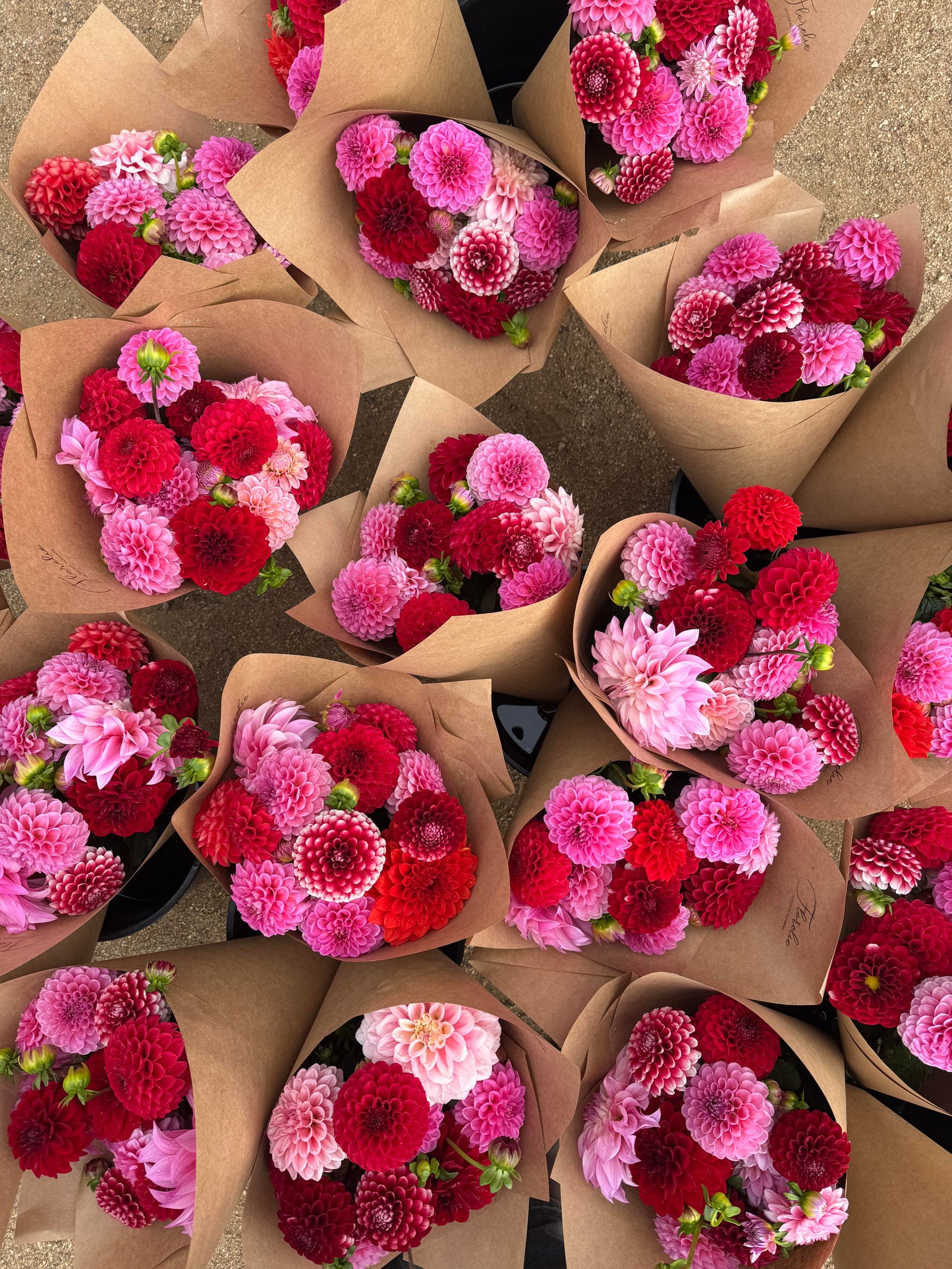 Blooms for Babes Pack FUNDRAISER